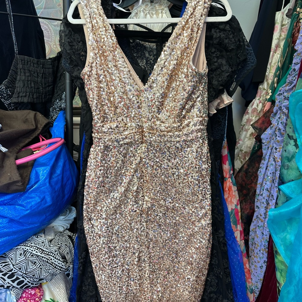 Badgley Mischka Blush sequins V neckline. Ruched waist glitzy and classic mini - Picture 8 of 16